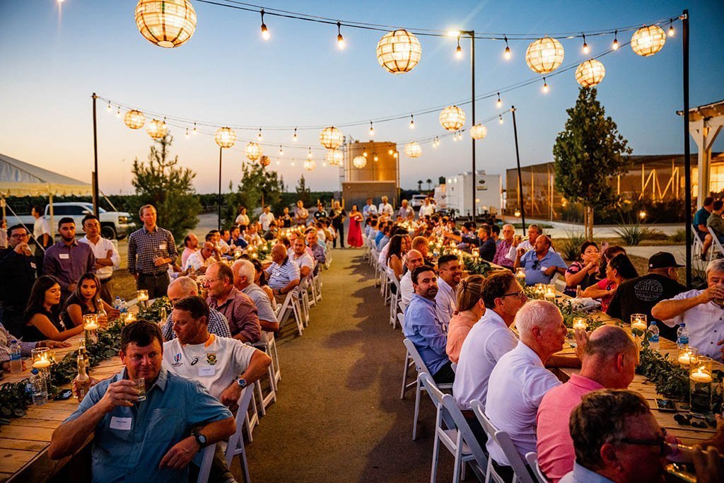 outdoor dinner reception at sunset
